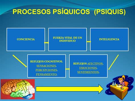 Mapa Conceptual Mapa Conceptual Procesos Psiquicos Mapas Images And