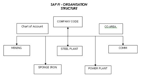 Enterprise Structure In Sap Fico