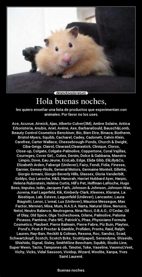 Hola Buenas Noches Desmotivaciones