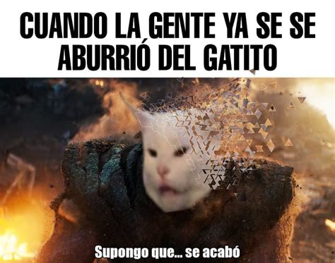 Miau Meme Subido Por Jonathan2002 Memedroid