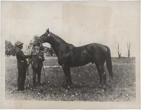 Man O War Horse Racing Photograph (1926)