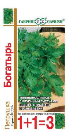 ЗЕЛЕНЬ ПЕТРУШКА