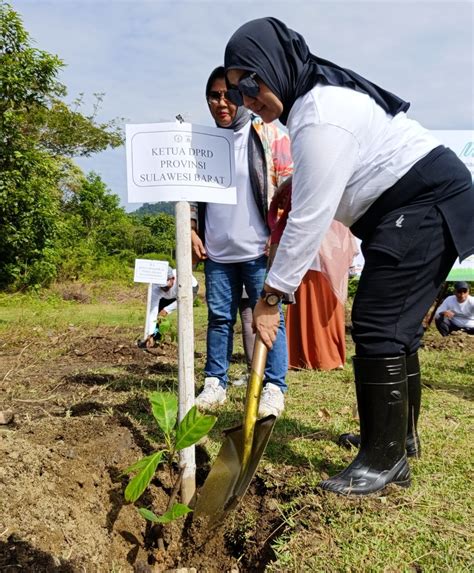 Dorong Ekosistem Ekonomi Hijau DPRD Sulbar Gelar Tanam Pohon Dan Jalan