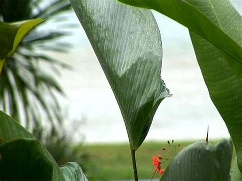 modelsを視聴 Beach Models Xhamster Porn SpankBang