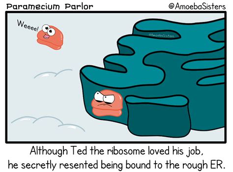 Paramecium Parlor Comics Science With The Amoeba Sisters