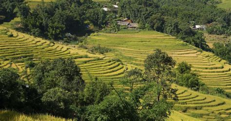 Sapa Tagesausflug Leichtes Trekking Und Hotel Tage Nacht