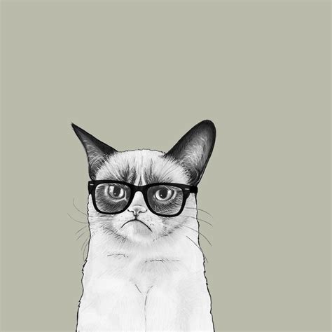 🔥 [50+] Grumpy Cat Halloween Wallpapers | WallpaperSafari