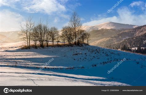 Naked Trees Snowy Hillside Foggy Winter Sunrise Beautiful Scenery Mountainous Stock Photo By