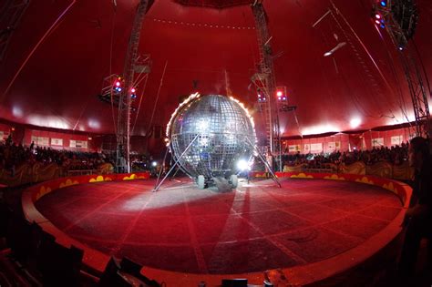 Gallery | Royal Canadian Circus