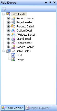 report designer explorer pane office
