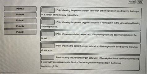 Solved Match The Location On The Oxygen Hemogiobin