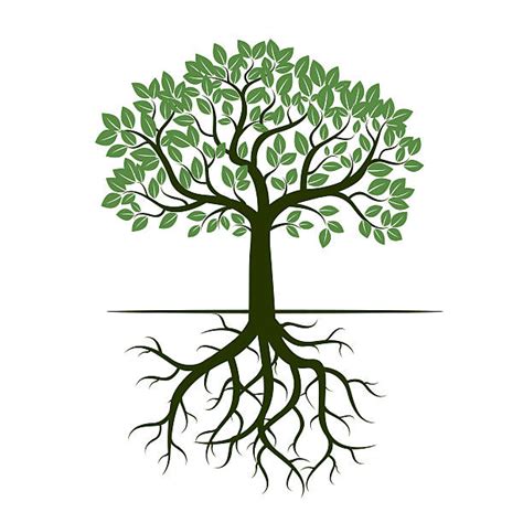 Free Tree Roots Cliparts, Download Free Tree Roots Cliparts png images ...