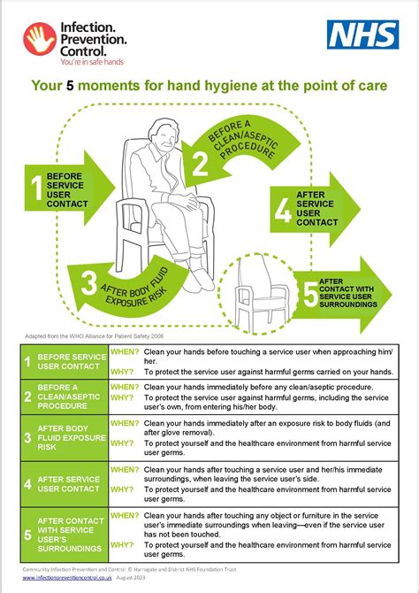 Your 5 Moments For Hand Hygiene For Domiciliary Care Poster Infection