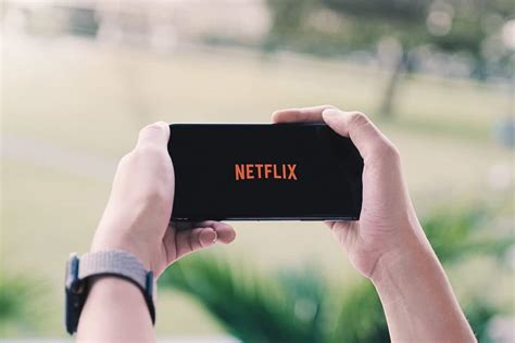 How To Take A Screenshot On Netflix Desktop And Mobile Techcult