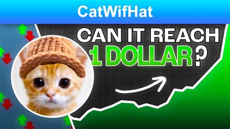 Can Catwifhat Coin Reach In Truth Youtube