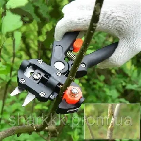 Купить Профессиональный прививной секатор для дома Grafting Tool с 3 ...