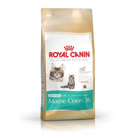 Royal Canin Kitten Maine Coon 36 - Complete Kitten Food at Burnhills