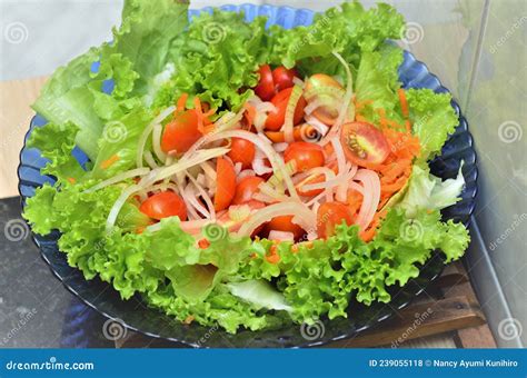 Platter With Lettuce Tomato And Onion Salad Stock Photo Image Of