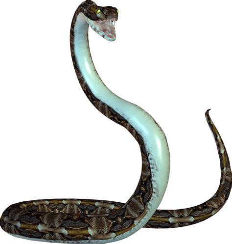 Serpiente Cobra Png All