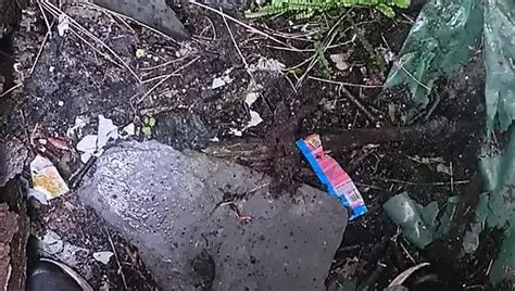 Cute Asian Boy Abandoned House Masturbation Cum Eat Cum Gay Funny Porn Feat Guangming Xhamster