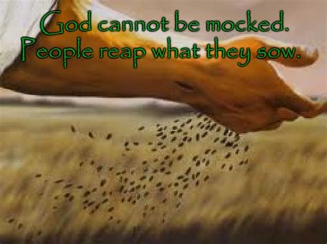 Galatians 67 You Reap What You Sow Imgflip