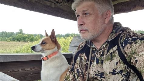 Охотничья собака на вышке. Миф или реальность? - YouTube