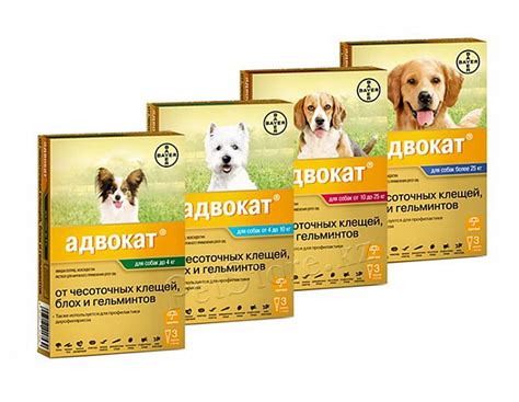 Advocate противопаразитарные капли для собак, 18 720 тг. — Petstore.kz ...