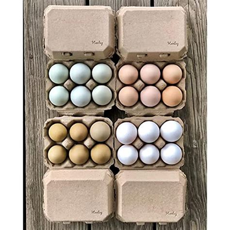 Half Dozen Egg Cartons Henlay Blank Flat Top Six Pack 20 Pricepulse