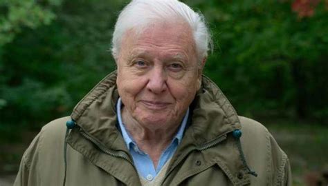 David Attenborough Explores Marine Secrets, Warns In World Oceans Day ...
