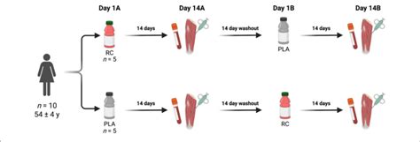 | Study design overview. Created with BioRender.com. | Download ...