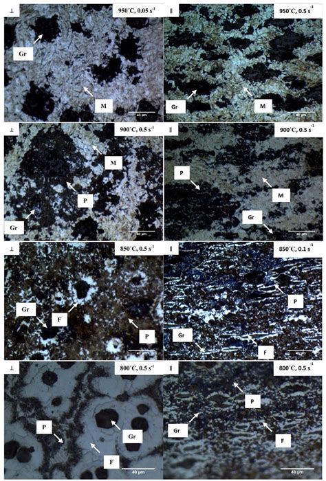 The Revealed Microstructure Of The Deformed Specimens At Different