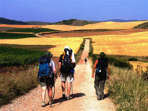 El camino trail – Artofit