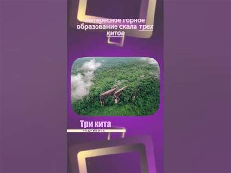 Скала три кита #Тайланд #гора #скала #три #кита #тропики - YouTube