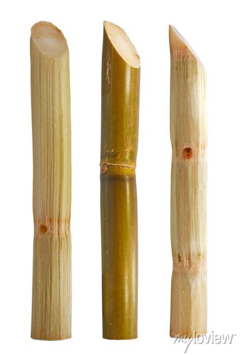 Single Object Of Sugar Cane Isolated On White Background Posters For