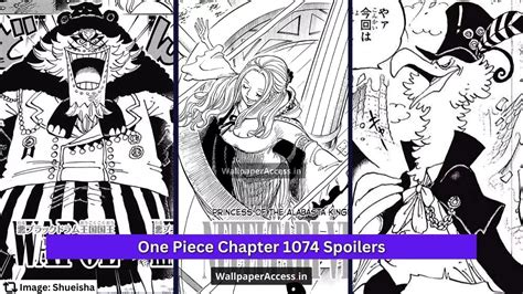 One Piece Chapter 1074 Spoilers Luffy And Zoro Stand Back And Vivi Is