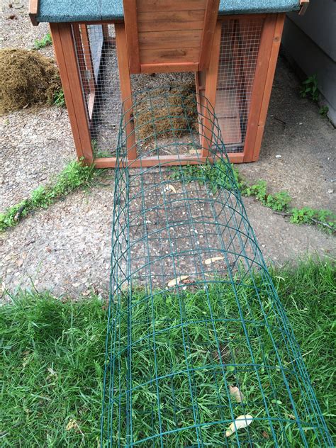 Chicken Tunnel Chicken Tunnels Chickens Backyard Chicken Diy