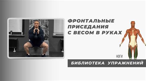 Фронтальные приседания с весом в руках - YouTube