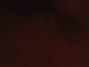 ROLLERBALL NUDE SCENES AZNude