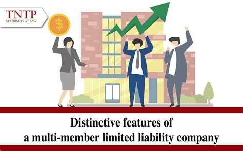 Distinctive features of multi-member limited liability companies - TNTP