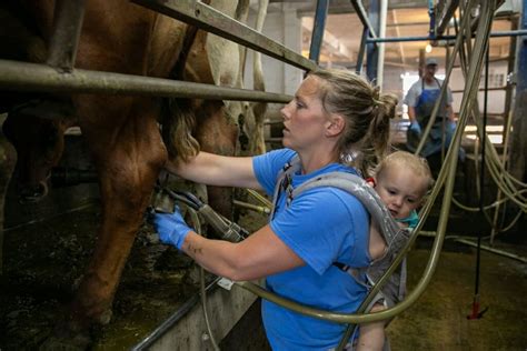 ‘grassland 20 Seeks To Transform Upper Midwest Agriculture Through Perennial Grasslands