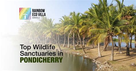 4 Top Wildlife Sanctuaries In Pondicherry Rainbow Eco Villa