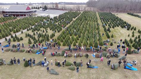 Dulls Tree Farm — Thechadcolby