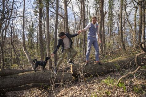 Dois Homens Casal Gay M Os Ajudando Um Ao Outro Imagem De Stock Imagem De Ocasional