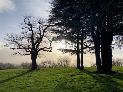 Our award-winning Park...wins another award!