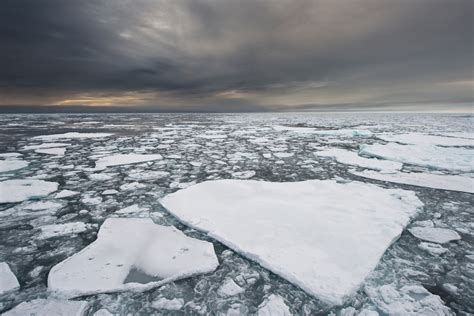 Паковый лед (63 фото)