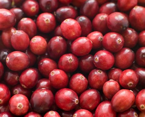 Herbs for UTI: Natural Remedies and Supplements