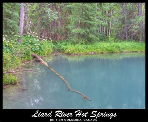 Liard Hot Springs | The Road Chose Me