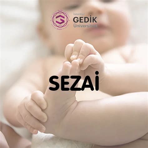 Sezai İsminin Anlamı Nedir Detaylı İsim Analizi