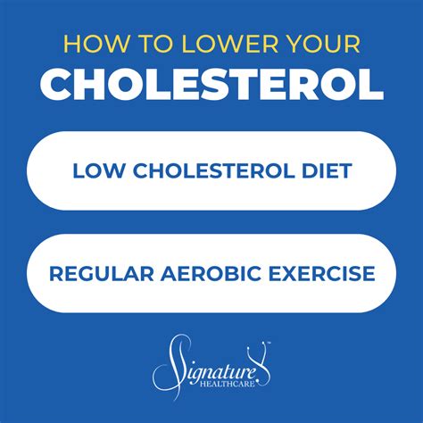 How Long Does It Take to Lower Cholesterol - Achieve a Healthier You