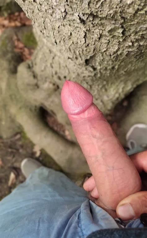 Kissing The Tree With My Dick Nude Pics XHamster